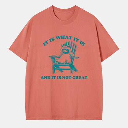 Vintage It Is What It Is And It Is Not Great Classic T-Shirt