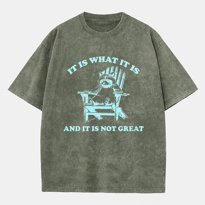 Vintage It Is What It Is And It Is Not Great Washed T-Shirt