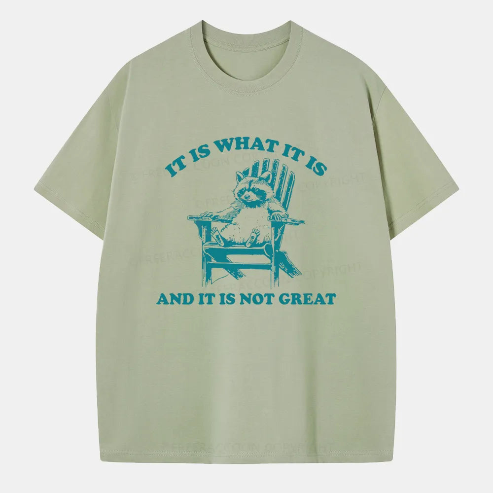 Vintage It Is What It Is And It Is Not Great Classic T-Shirt