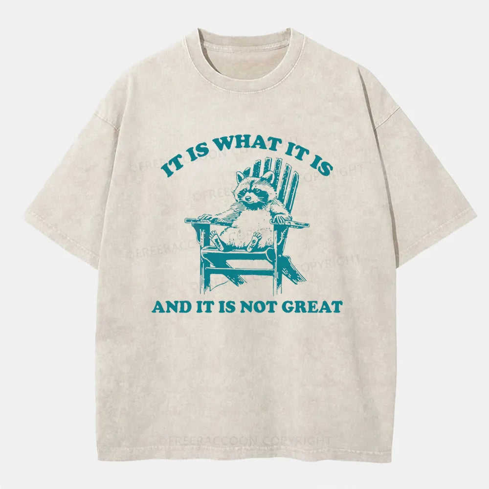 Vintage It Is What It Is And It Is Not Great Washed T-Shirt