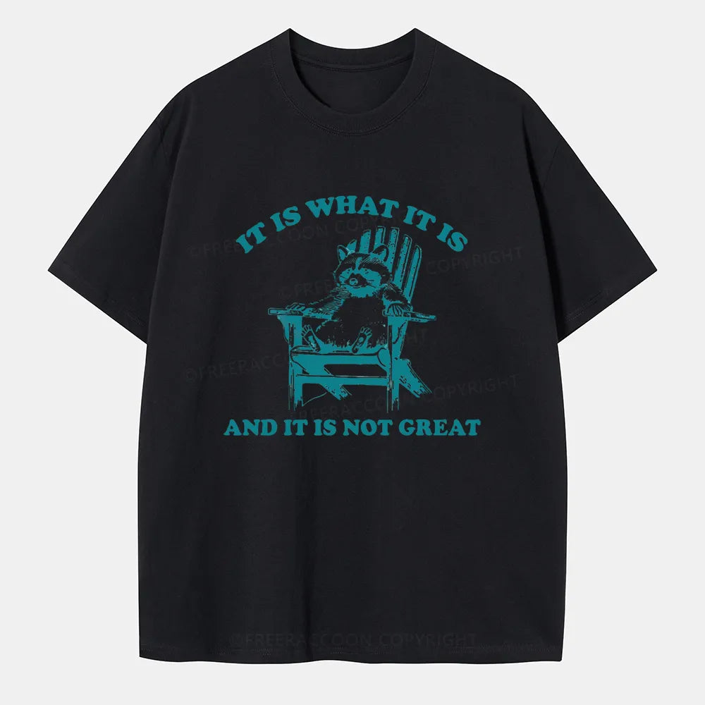 Vintage It Is What It Is And It Is Not Great Classic T-Shirt