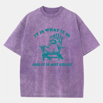 Vintage It Is What It Is And It Is Not Great Washed T-Shirt