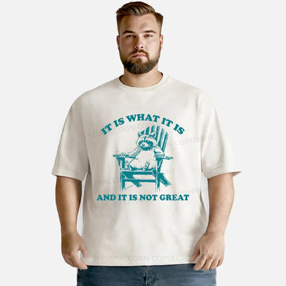 Vintage It Is What It Is And It Is Not Great Washed T-Shirt