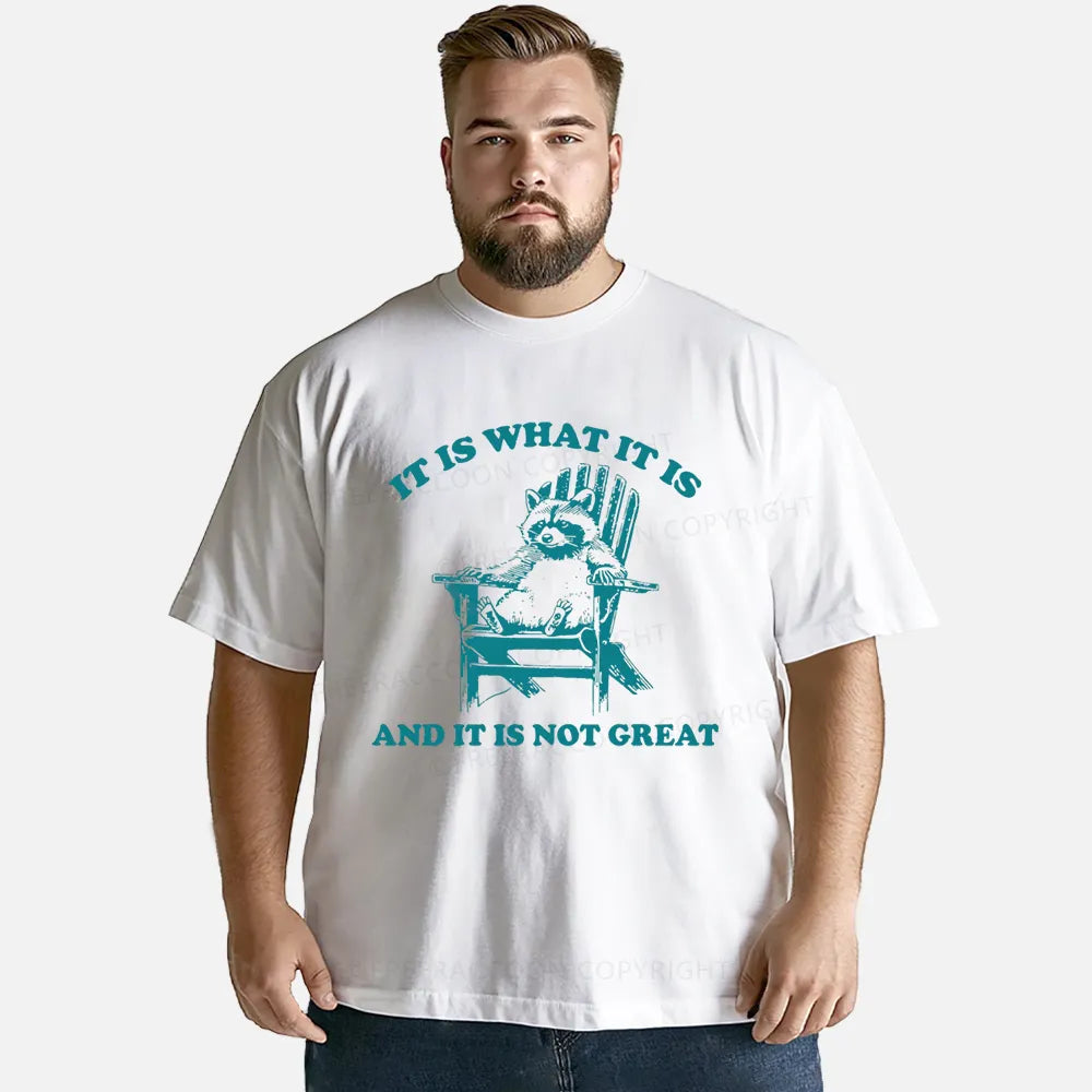 Vintage It Is What It Is And It Is Not Great Classic T-Shirt