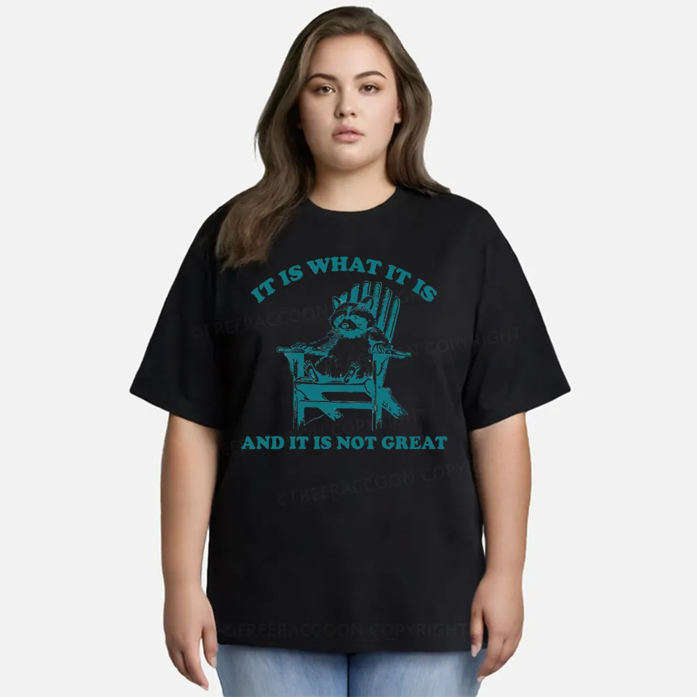 Vintage It Is What It Is And It Is Not Great Classic T-Shirt