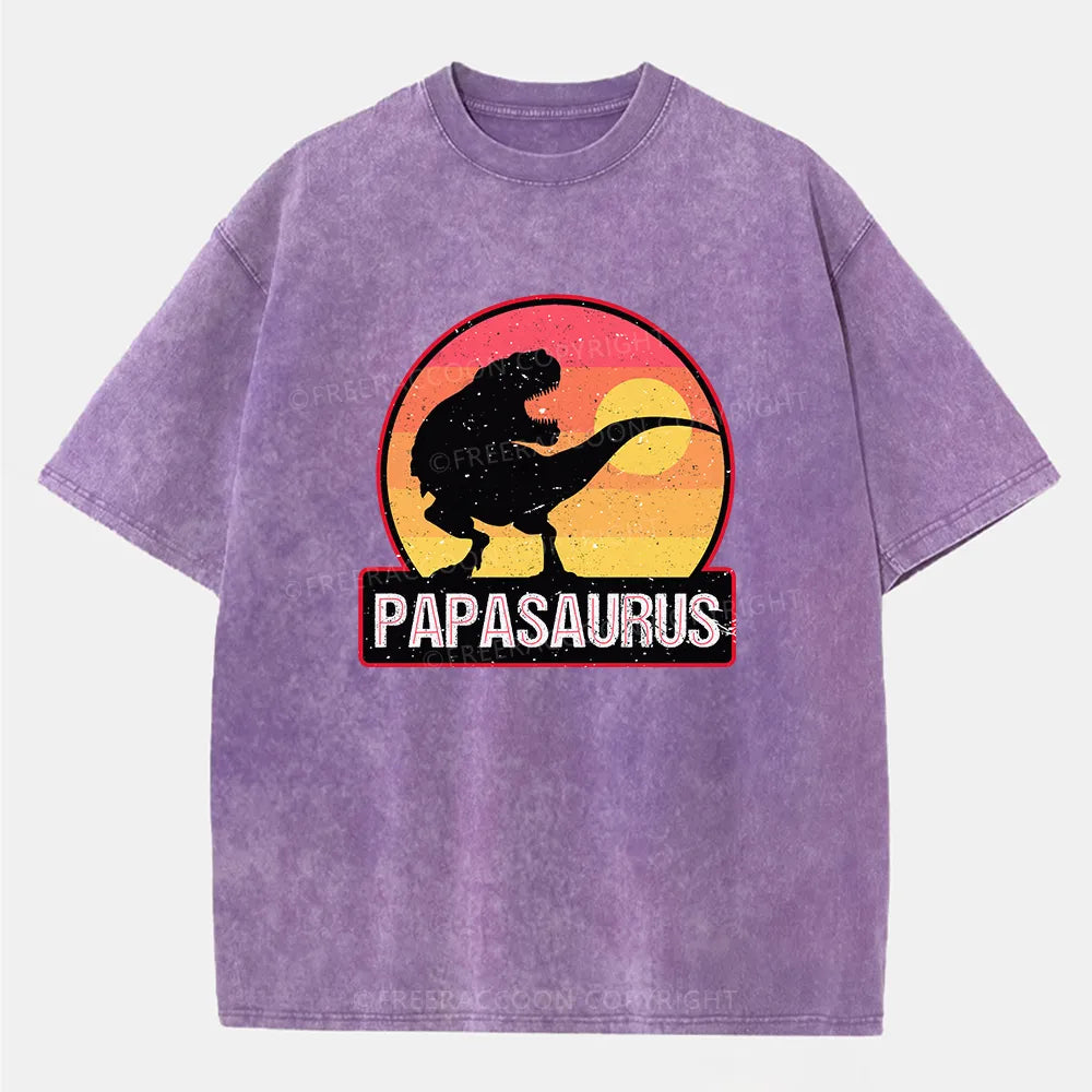 Vintage Papasaurus Washed T-Shirt